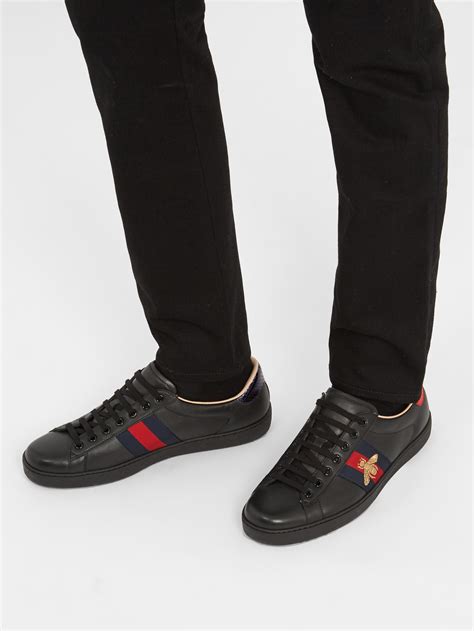 gucci ace on sale